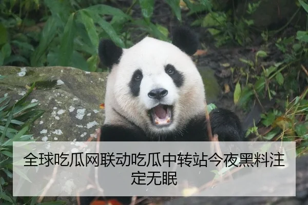 全球吃瓜网联动吃瓜中转站今夜黑料注定无眠